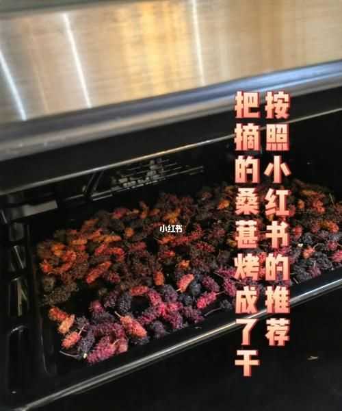 怎么用烤箱烘干桑葚如何用烤箱烘干桑葚呢