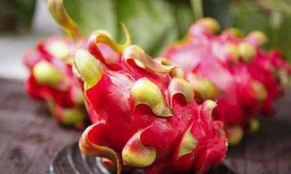 火龍果怎樣保存時(shí)間長(cháng),火龍果的存放保鮮方法圖3