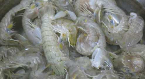 皮皮蝦蒸多久才熟,蒸皮皮蝦需要蒸多長(cháng)時(shí)間能熟圖2