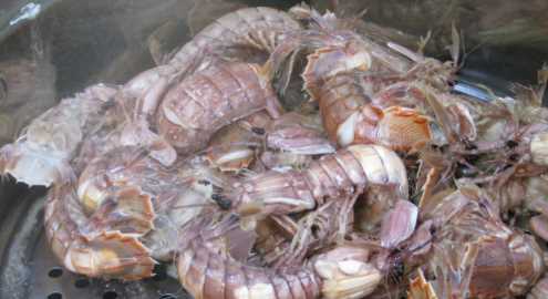 皮皮蝦蒸多久才熟,蒸皮皮蝦需要蒸多長(cháng)時(shí)間能熟圖6