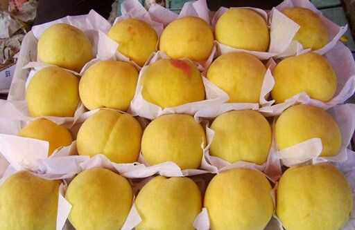 新鮮黃桃可以保存多久,黃桃放一晚上會(huì )壞嗎圖2