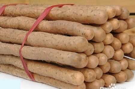 挑選山藥的方法