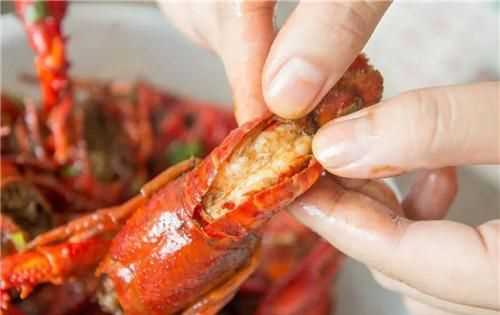 波士頓龍蝦可以過(guò)夜吃嗎