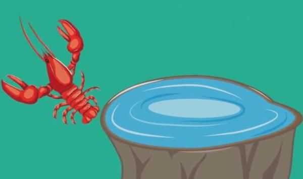 龍蝦過(guò)夜能不能吃，蒜蓉小龍蝦隔夜還能吃嗎？圖3