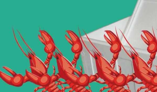 龍蝦過(guò)夜能不能吃，蒜蓉小龍蝦隔夜還能吃嗎？圖6