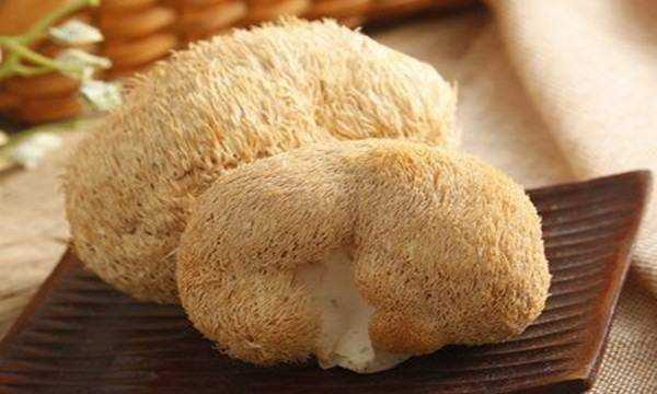 猴頭菇的功效與作用及食用方法,猴頭菇的吃法做法與功效圖8