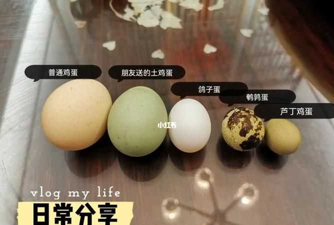吃幾個(gè)鵪鶉蛋相當于一個(gè)雞蛋