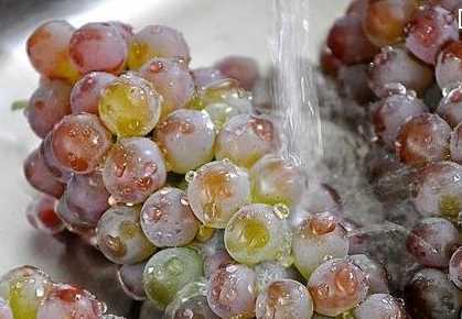 洗過(guò)水的葡萄如何保存,洗干凈的葡萄如果一次吃不完怎么辦圖1