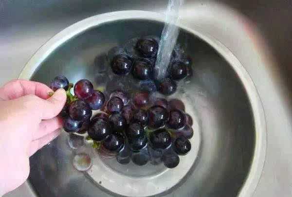 洗過(guò)的葡萄隔夜還能吃嗎沒(méi)有放冰箱里