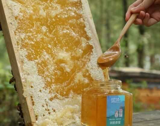 土蜂蜜帶苦味怎么回事,蜂蜜有點(diǎn)苦是怎么回事?圖2