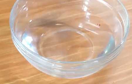 菠蘿蜜的膠怎么洗,菠蘿蜜的膠粘在手上怎么去除圖7