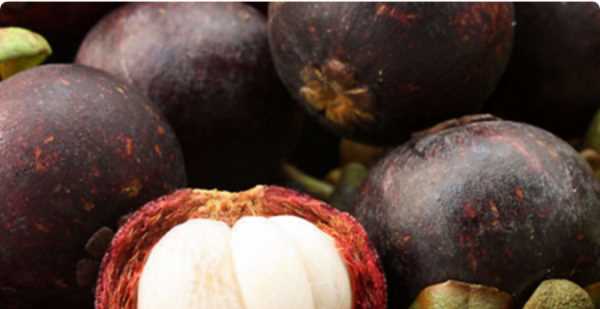 山竹是涼性還是熱性,山竹是涼性還是熱性圖4