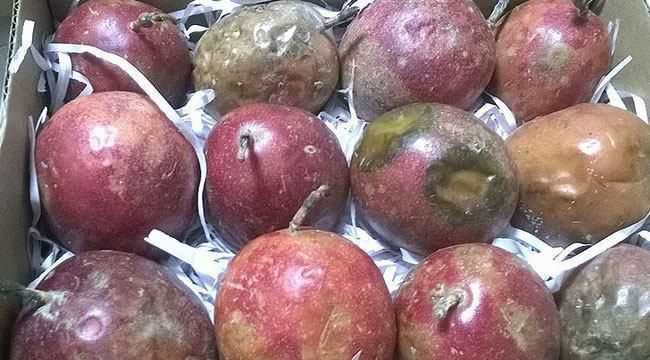 百香果流水了還能吃嗎