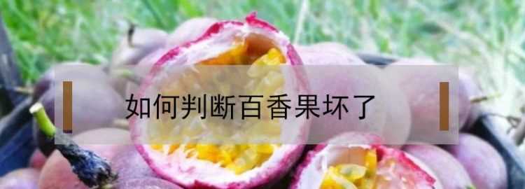 百香果外皮皺了能吃嗎