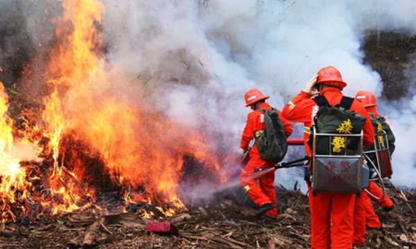 草原森林防火常識,森林防火小常識10條簡(jiǎn)短圖1