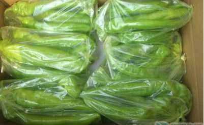 沒(méi)冰箱怎么保存隔夜菜,沒(méi)有冰箱隔夜菜如何不壞呢圖2