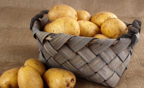 怎么保存土豆能放一年,大量土豆長(cháng)期保存方法一年圖3