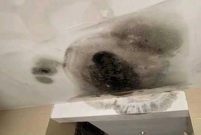 室內墻體發(fā)霉怎樣徹底處理