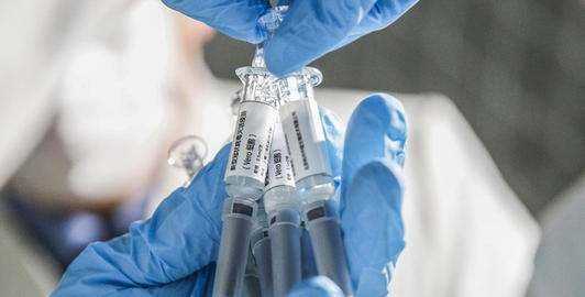 湄公河國家和日本在疾病預防和控制方面相互支持,接種新冠疫苗對國家的意義圖3