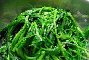 什么菜汁和面顏色最綠,菠菜汁和面怎樣做更綠不變色圖6