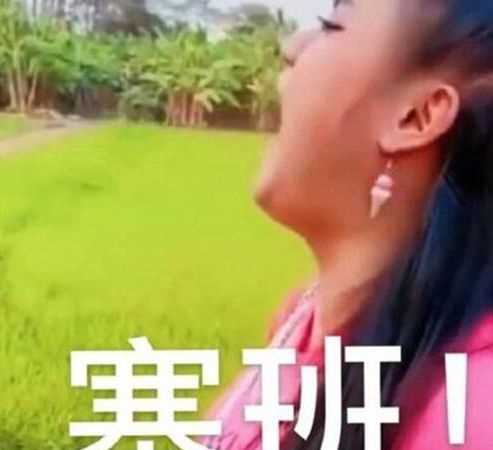 用來(lái)形容手機的：塞班是什么意思