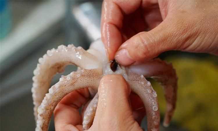 魷魚(yú)肚子里的黃能吃嗎