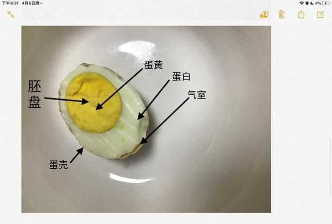 怎么知道煮的雞蛋有沒(méi)有熟