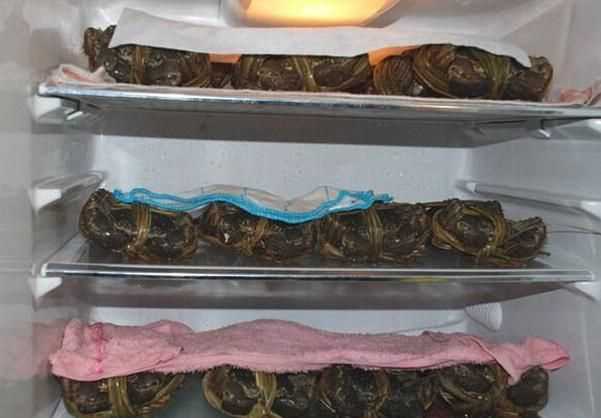 蟹卡郵到家的螃蟹怎么存放