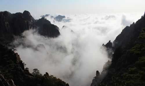 黃山云海有什么特點(diǎn)好看嗎長(cháng)什么樣子么長(cháng)的好看