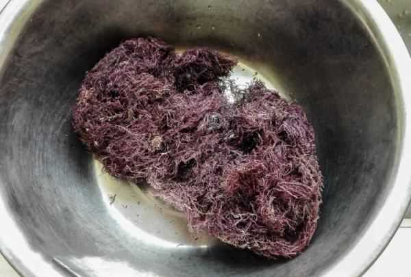 自制石花菜涼粉水的比例,石花菜涼粉怎么涼拌好吃竅門(mén)圖2