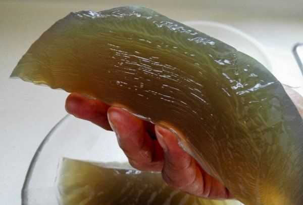 自制石花菜涼粉水的比例,石花菜涼粉怎么涼拌好吃竅門(mén)圖7