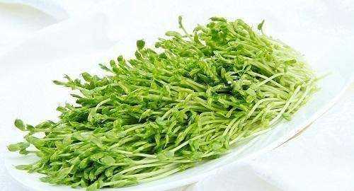 生芽的豌豆還能吃,新鮮豌豆發(fā)芽了還能吃嗎圖3