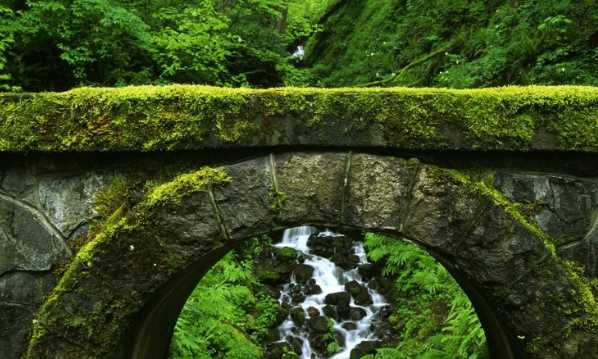 水泥地上的青苔怎么永久清除,水泥地上的青苔用什么方法可以清除掉?圖3