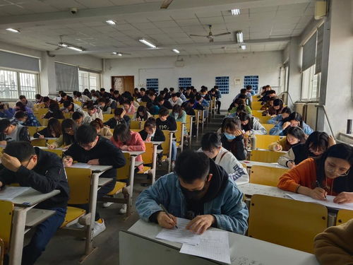 通識類(lèi)知識安全考試