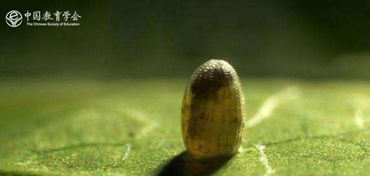 食品安全和國門(mén)安全教育知識測試題