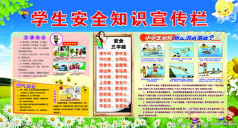 安全知識進(jìn)農村宣傳活動(dòng)方案