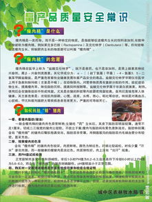 畜產(chǎn)品安全知識免費