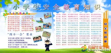 農村小學(xué)生安全知識競賽