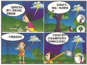 防溺水丶防雷電丶安全方知識
