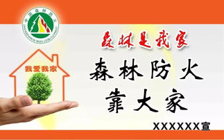 元旦森林防火安全知識會(huì )議記錄