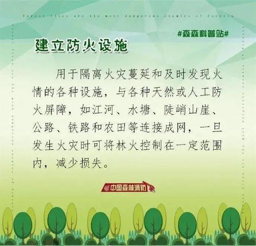 小學(xué)生防森林火災安全知識