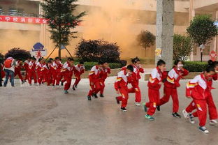 高校消防安全知識心得體會(huì )