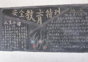 交通知識安全作文300