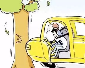 安規安全帶使用知識