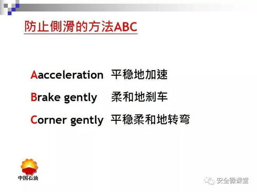 景區內車(chē)輛安全知識資料