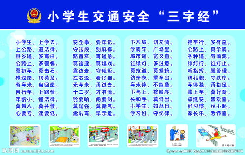 學(xué)生交通安全知識3字經(jīng)