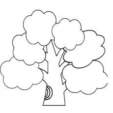 安全知識樹(shù)怎么畫(huà)