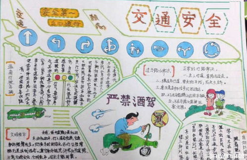 校園食品交通安全的知識手抄報