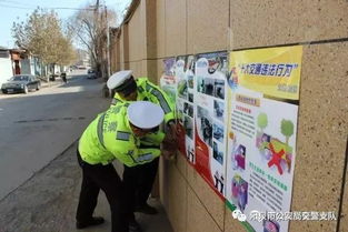 安全知識進(jìn)農村總結