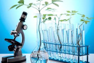 有機化學(xué)實(shí)驗安全知識教育